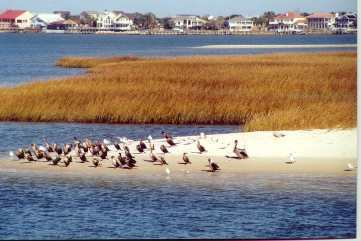 Take a Scenic Boat Ride in St. Augustine