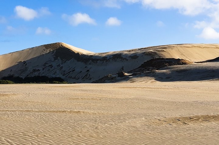 Cape Reinga - 90 Mile Beach Tour - With Lunch