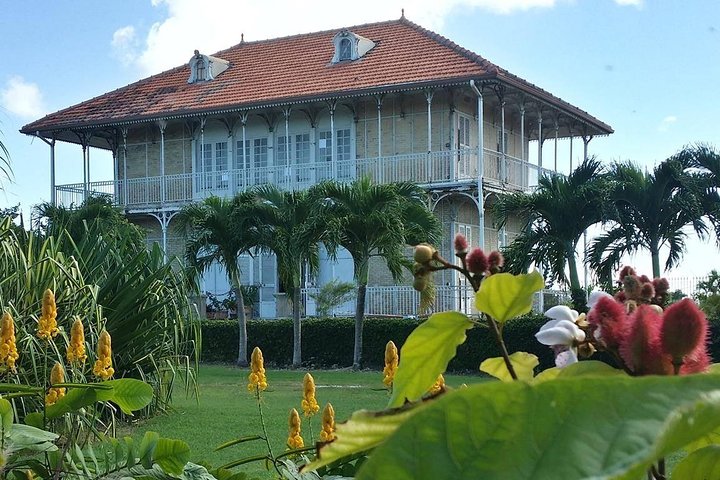 Death in Paradise Tour | Driver at Disposal