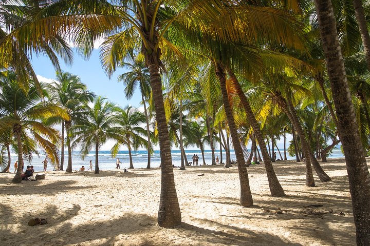 Death in Paradise Tour | Driver at Disposal