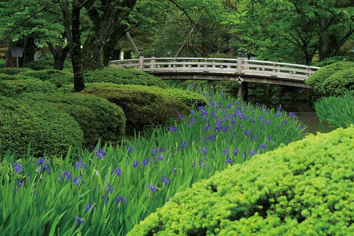 Kanazawa Full Day Tour (Private Guide)
