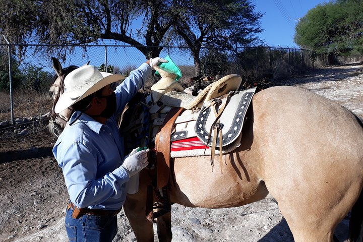 Half Day Trail Riding in San Miguel de Allende