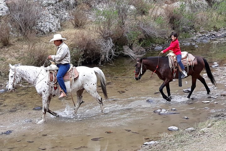 Half Day Trail Riding in San Miguel de Allende