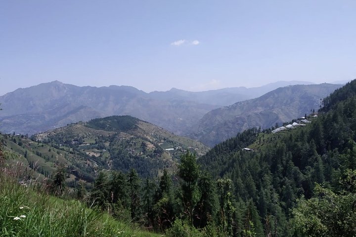 Full-Day Private Biking Trip to Shimla Mountain with Lunch