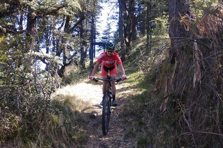 Full-Day Private Biking Trip to Shimla Mountain with Lunch