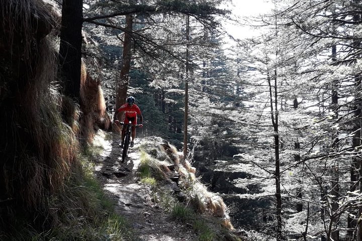 Full-Day Private Biking Trip to Shimla Mountain with Lunch