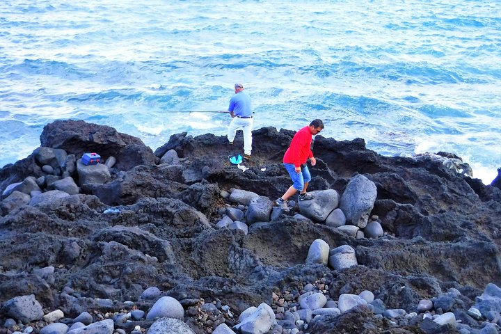 Faial Island: Half Day Tour
