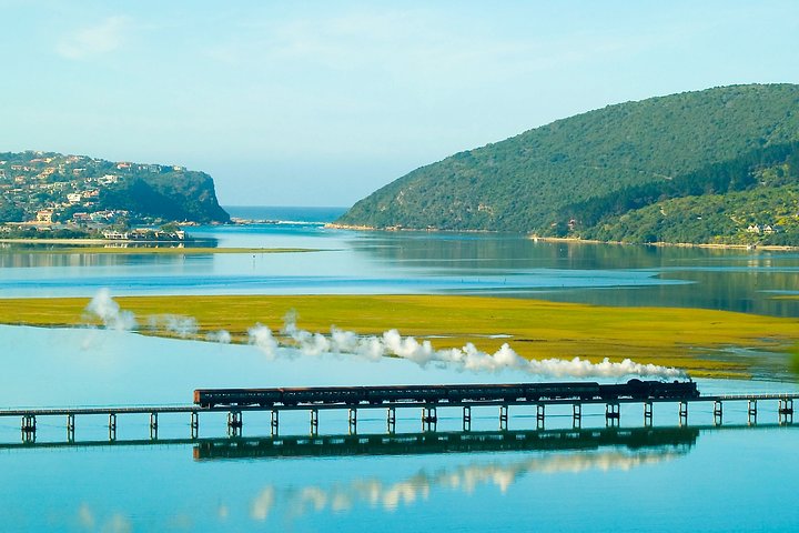Wildlife Safari in the Garden Route - 4 Days