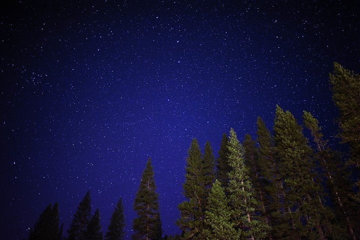 Private Stargazing - Sequoia National Park