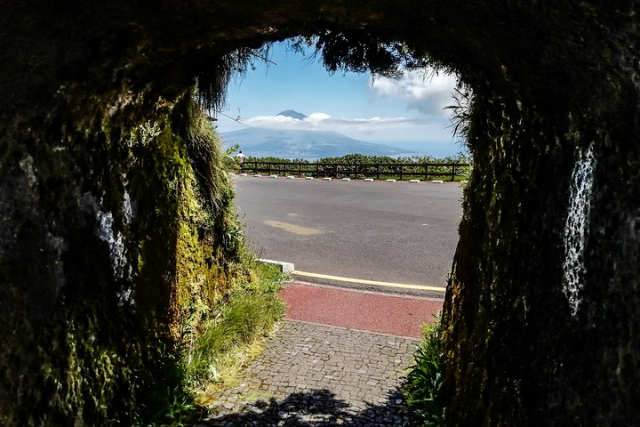 Faial Island: Half Day Tour