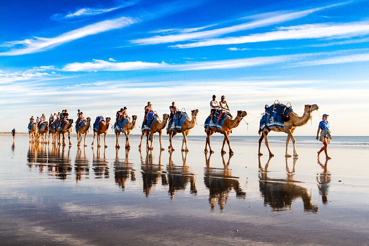 1 Hour Broome Sunset Camel Tour