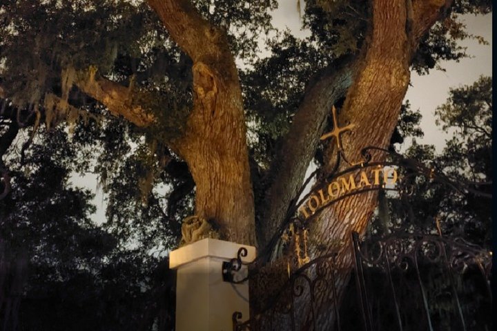 St. Augustine Ghost Tour: A Ghostly Encounter