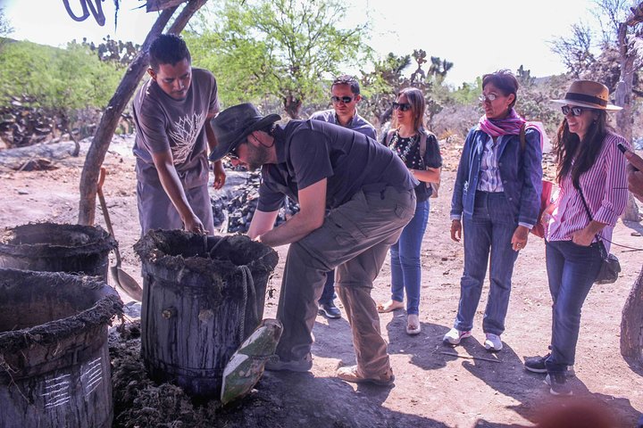 Ancestral Drinks: Mezcal and Pulque from the Heart of the Desert
