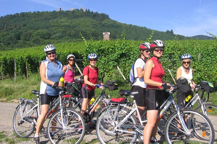 Through Alsace Vineyards and Wine Villages Private Bike Tour