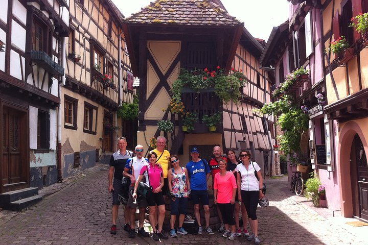 Through Alsace Vineyards and Wine Villages Private Bike Tour