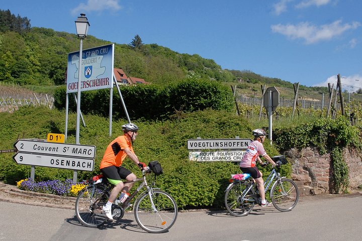 Through Alsace Vineyards and Wine Villages Private Bike Tour