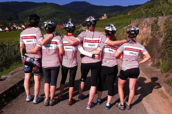 Through Alsace Vineyards and Wine Villages Private Bike Tour