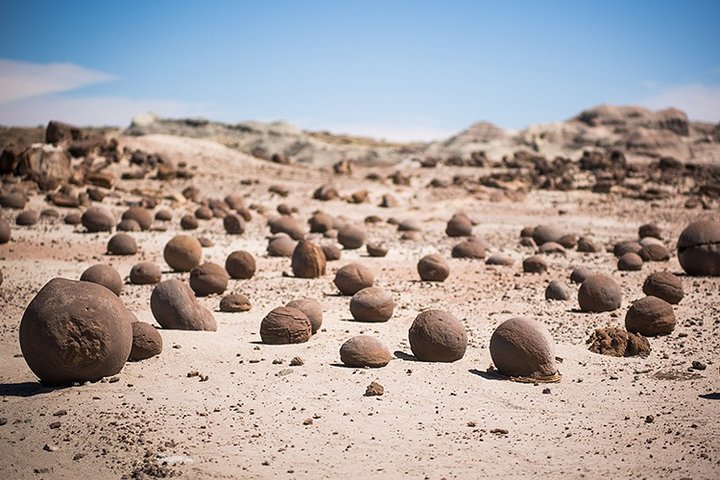 San Juan: Ischigualasto, el Valle de la Luna – Full Day