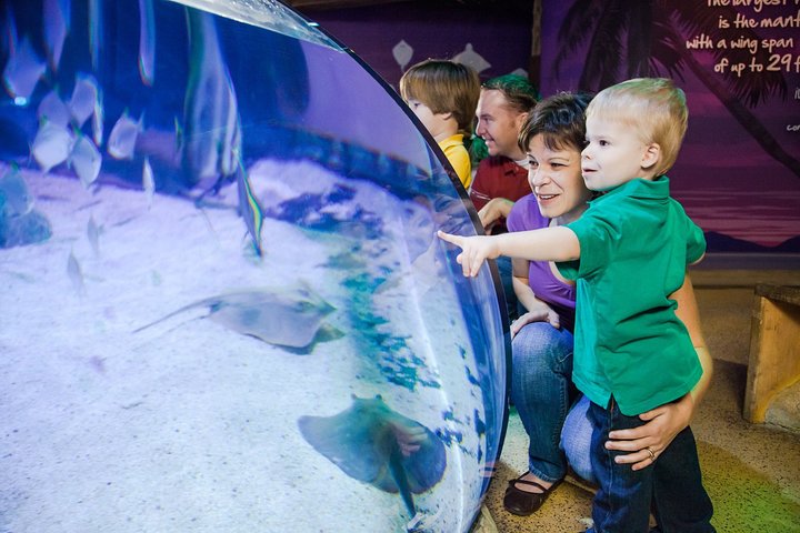 SEA LIFE Kansas City Aquarium Admission Ticket