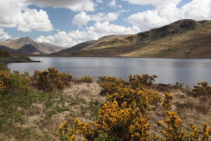 From Galway: Guided tour of Connemara with 3 hour stop at Connemara National Pk.