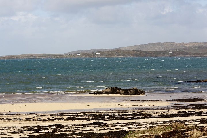 From Galway: Guided tour of Connemara with 3 hour stop at Connemara National Pk.