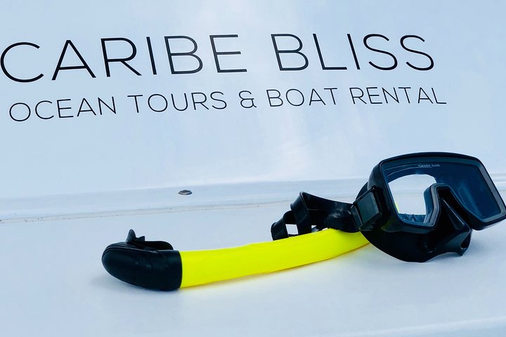 All Inclusive Beach and Snorkel Boat Tour to Icacos Island