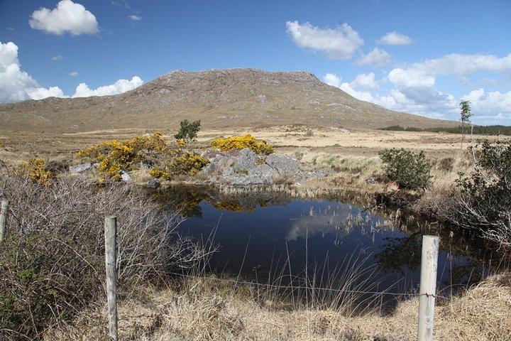 From Galway: Guided tour of Connemara with 3 hour stop at Connemara National Pk.