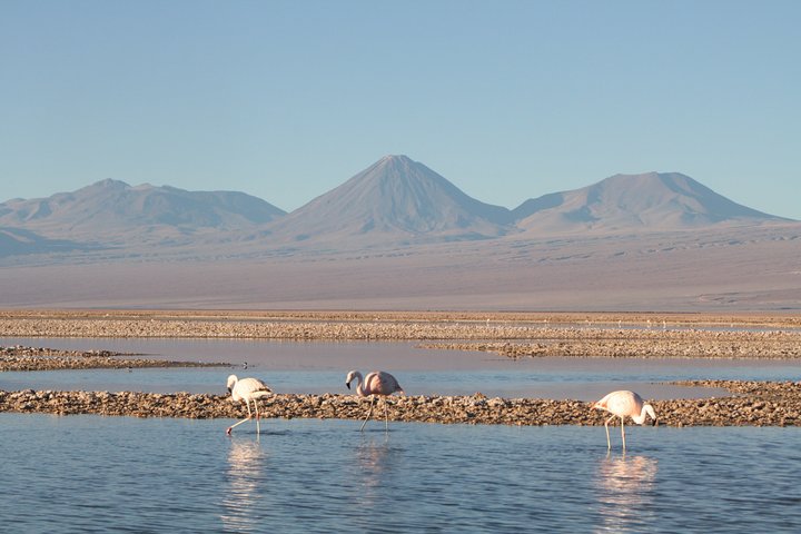 4-Day Atacama Desert Experience with Hotel, Tours & Meals