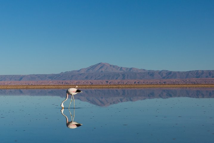 4-Day Atacama Desert Experience with Hotel, Tours & Meals