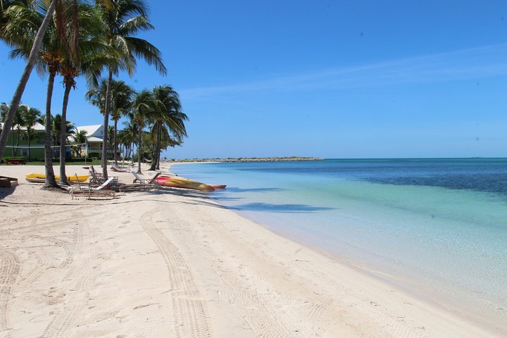 Snorkel/Swim with the Turtles Experience