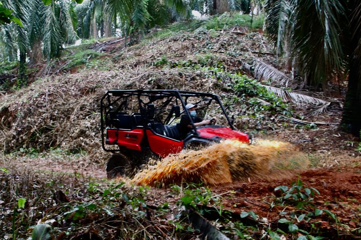 Manuel Antonio ATV Off Road Rainforest & Waterfalls Tour