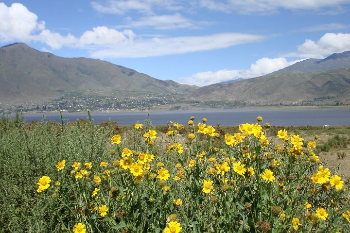 Discover Tafi del Valle: Guided Journey