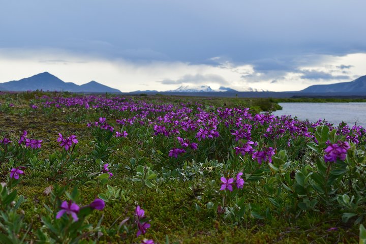 Askja the Caldera - My favorite day tour