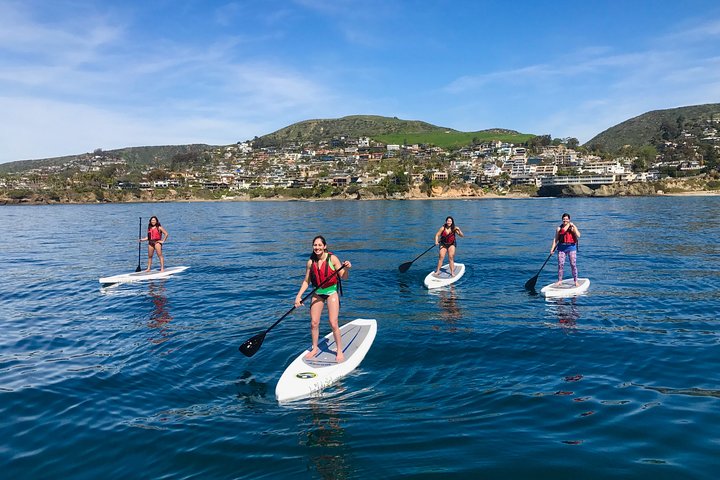 Laguna Beach Kayak Tour with Sea Lion Viewing