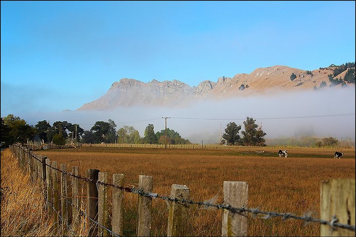 Shore Excursion: 4-Hour Discover Hawkes Bay and Napier Tour