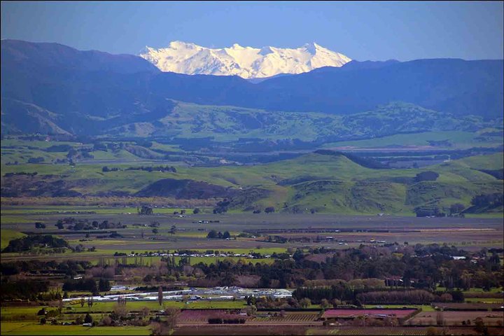 Shore Excursion: 4-Hour Discover Hawkes Bay and Napier Tour