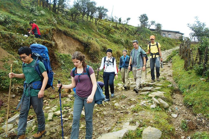 5-Days Singalila Ridge Trek in Darjeeling