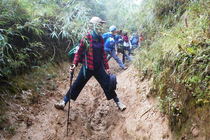 5-Days Singalila Ridge Trek in Darjeeling