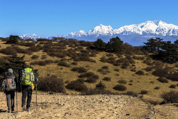5-Days Singalila Ridge Trek in Darjeeling