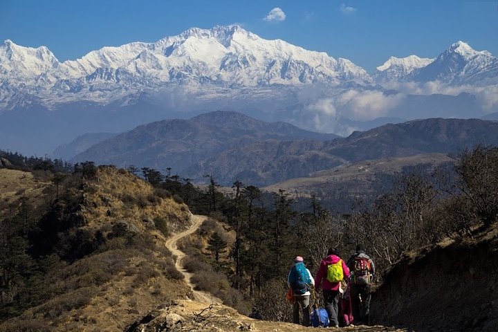5-Days Singalila Ridge Trek in Darjeeling