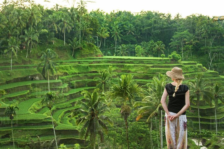 Ubud: Monkey Forest, Jungle Swing, Rice Terrace and Water Temple