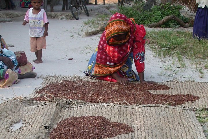 Pemba Cultural Village Tour