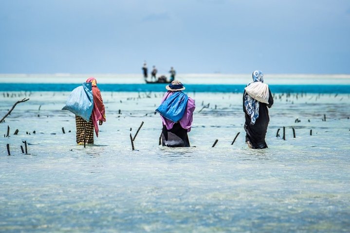 Pemba Cultural Village Tour