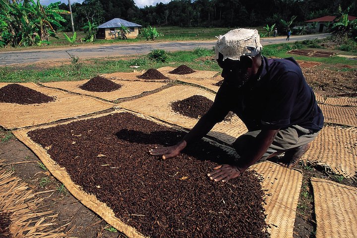 Pemba Cultural Village Tour