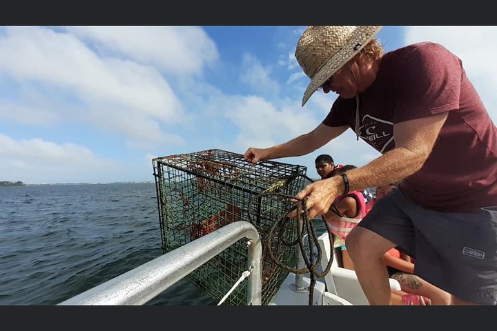 BIG FUN Dolphin Cruise & Sealife Experiece ORANGE BEACH ALABAMA