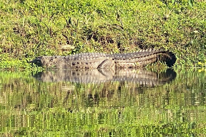 3 Nights 4 Days Comfortable Chitwan Safari Tour