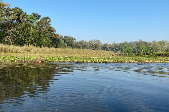 Chitwan Jungle Safari Tour