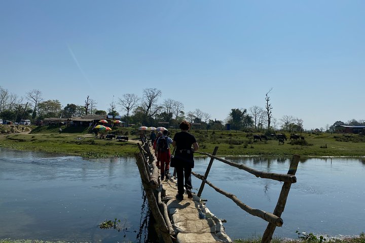 Nature Walk in Chitwan Jungle Safari with Guide