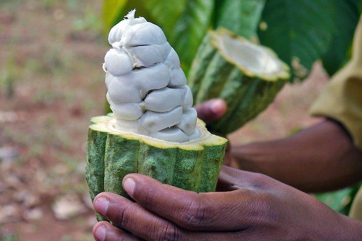 Pemba Spice Tour