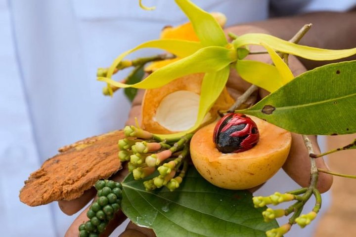 Pemba Spice Tour